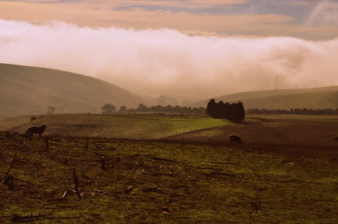 foggymorning2-resized