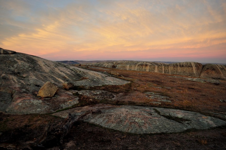 Dog Rocks by Lance Youston