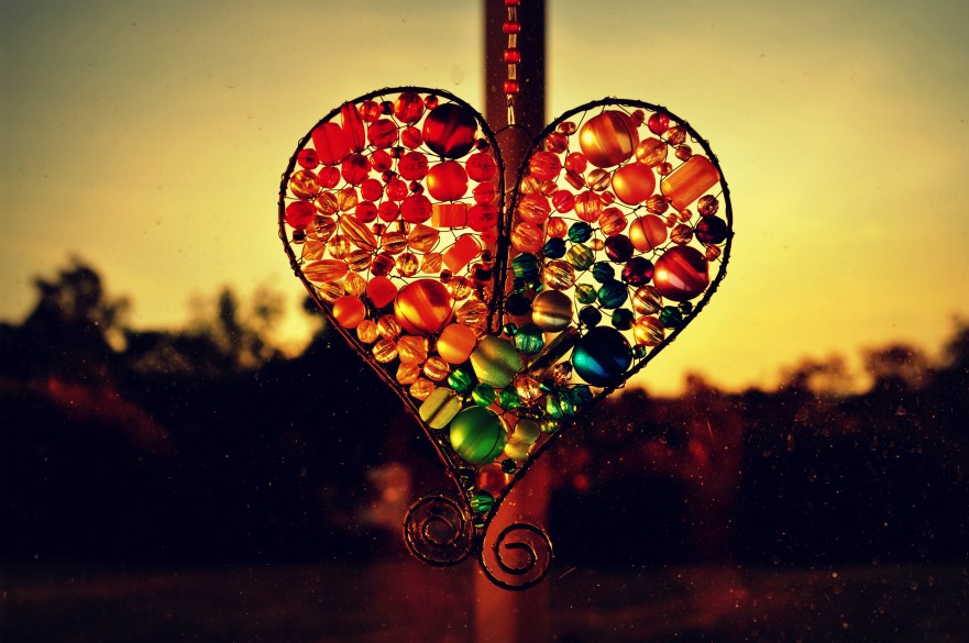 @Dog Rocks Garden by Lance Youston