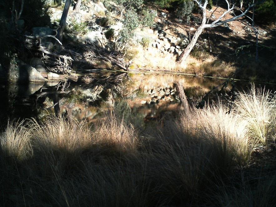 River Walk by Lance Youston